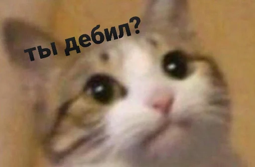 🤦 Стикер «ᴍᴏᴏᴅ ʙʏ sᴍʙxᴠ» для Telegram