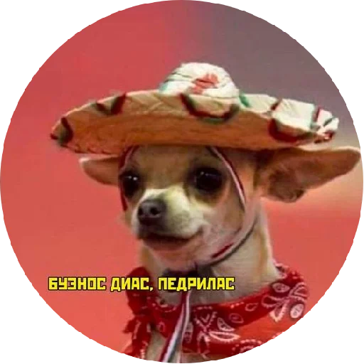 🤠 Стикер «ᴍᴏᴏᴅ ʙʏ sᴍʙxᴠ» для Telegram