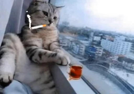 😔 Стикер «Moods» для Telegram