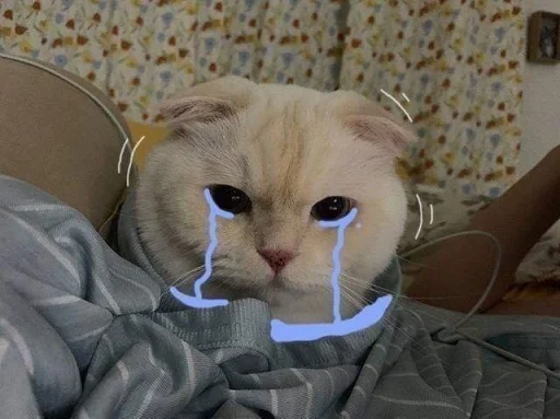 🧶 Стикер «moodpaackssssss» для Telegram