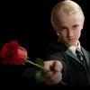 Стикер 15 Harry Potter