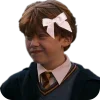 Стикер 58 Harry Potter