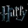 Стикер 19 Harry Potter