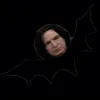Стикер 13 Harry Potter