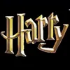Стикер 21 Harry Potter