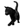 Стикер 3 Moon #style #status