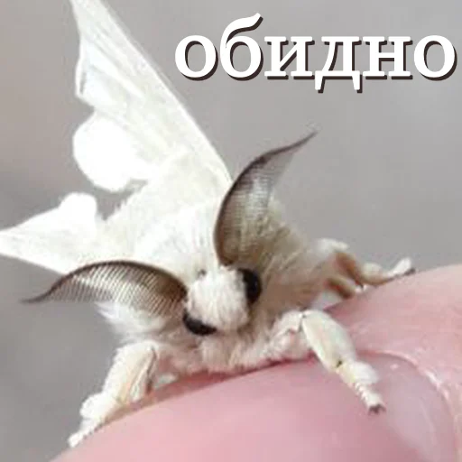 🥺 Стикер «moooooths» для Telegram