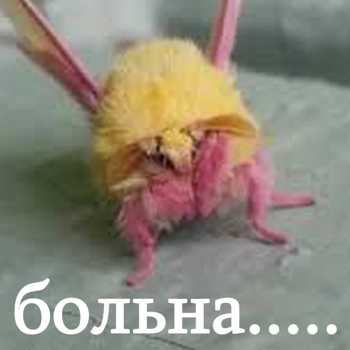 😢 Стикер «moooooths» для Telegram
