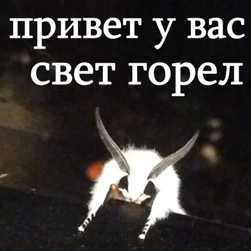 😊 Стикер «moooooths» для Telegram