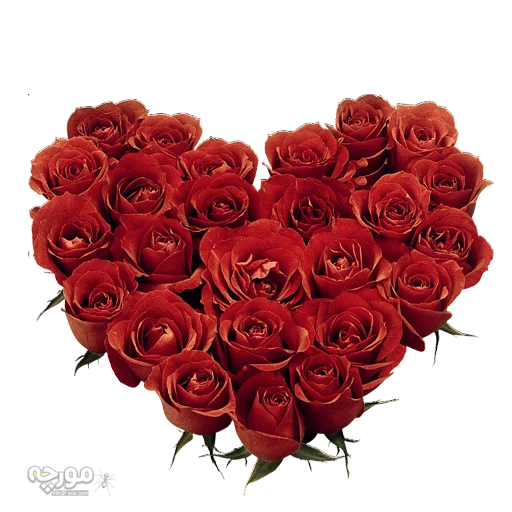 😜 Стикер «Moorche_Fun2» для Telegram