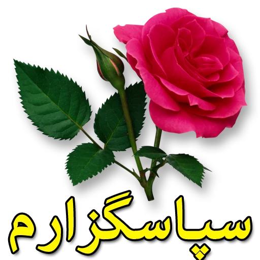🌼 Стикер «Moorche_Messages_Win2Farsi.com» для Telegram