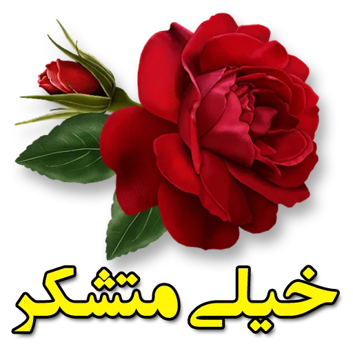 🌼 Стикер «Moorche_Messages_Win2Farsi.com» для Telegram