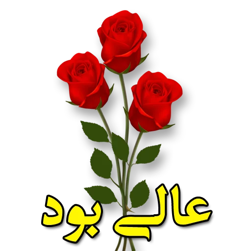 🌼 Стикер «Moorche_Messages_Win2Farsi.com» для Telegram