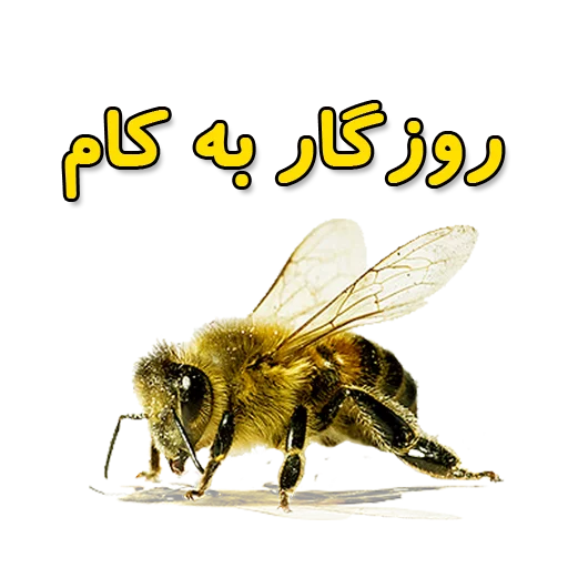 🌼 Стикер «Moorche_Messages_Win2Farsi.com» для Telegram