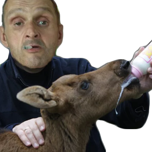🐮 Стикер «Мопс дядя пёс» для Telegram