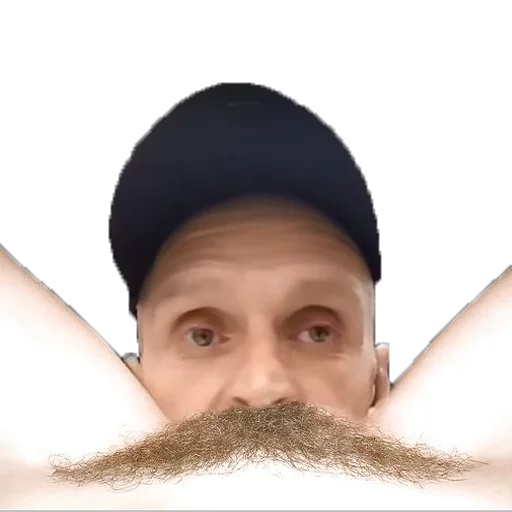 🎩 Стикер «Мопс дядя пёс» для Telegram