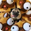 🤩 Эмодзи «Мопсики» для Telegram