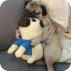 🤩 Эмодзи «Мопсики» для Telegram
