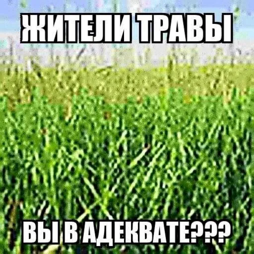 🌱 Стикер «море 2014» для Telegram