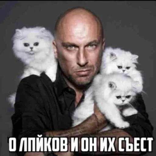 🙀 Стикер «море 2014» для Telegram