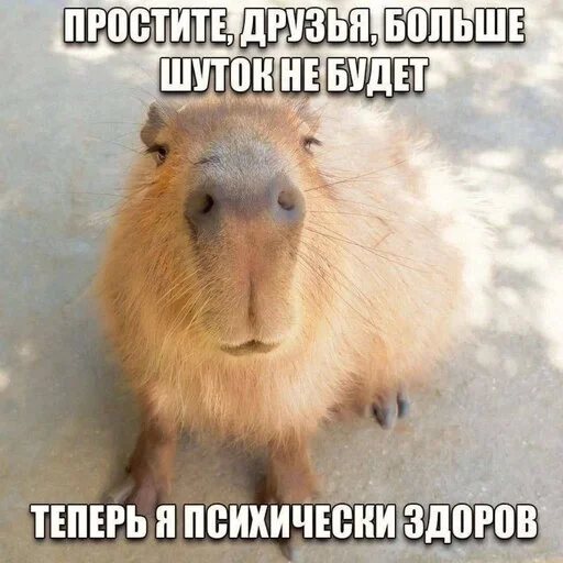 🤣 Стикер «море 2014» для Telegram