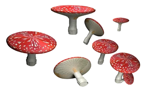 🍄 Стикер «more shrooms» для Telegram