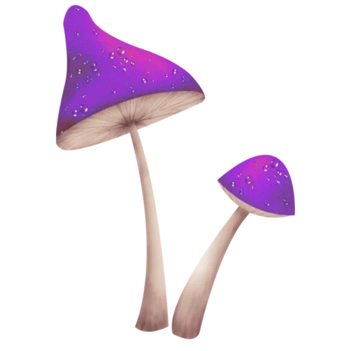 🍄 Стикер «more shrooms» для Telegram