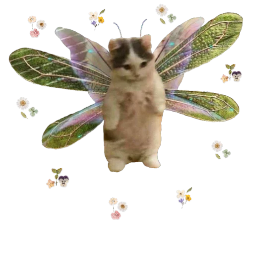 😺 Стикер «more shrooms» для Telegram