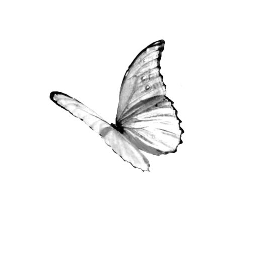 🦋 Стикер «more shrooms» для Telegram