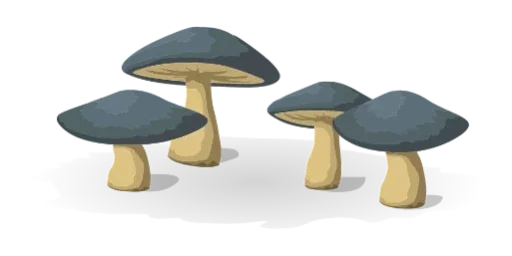 🍄 Стикер «more shrooms» для Telegram