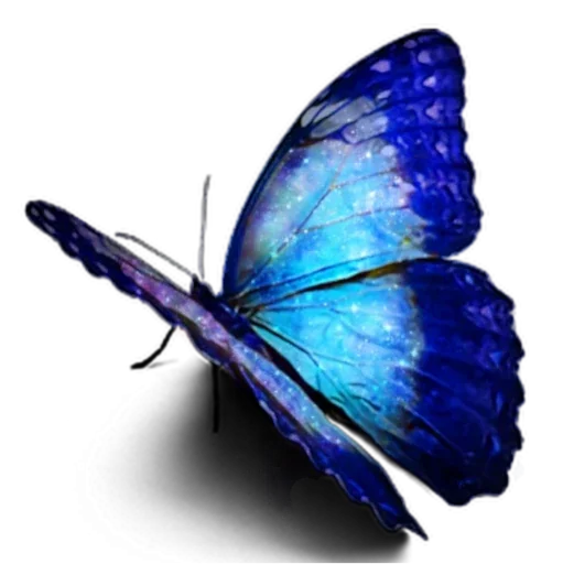 🦋 Стикер «more shrooms» для Telegram