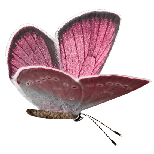 🦋 Стикер «more shrooms» для Telegram