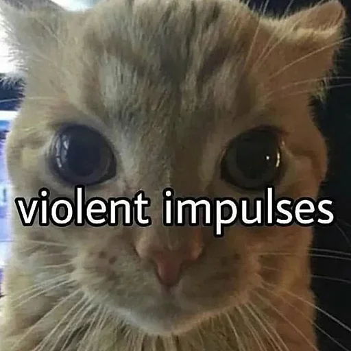 🤬 Стикер «morrrrre» для Telegram