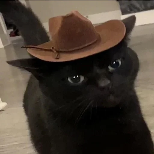 🤠 Стикер «morrrrre» для Telegram
