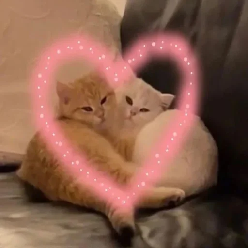❤️ Стикер «morrrrre» для Telegram