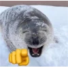 🦭 Эмодзи «Морской котик» для Telegram