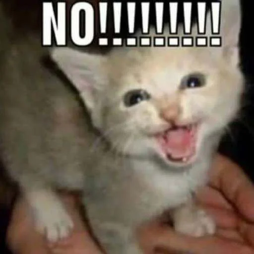 😫 Стикер «cats.mos?» для Telegram