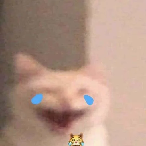 😂 Стикер «cats.mos?» для Telegram