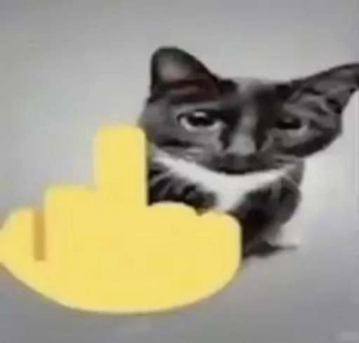 🖕 Стикер «cats.mos?» для Telegram