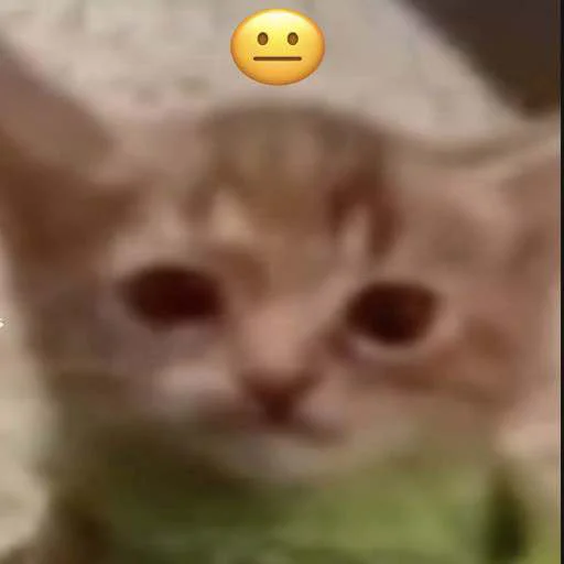 😐 Стикер «cats.mos?» для Telegram