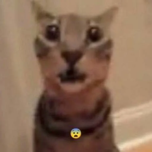 😨 Стикер «cats.mos?» для Telegram