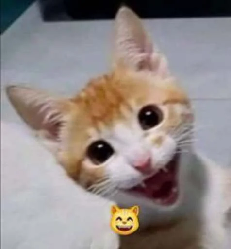 😄 Стикер «cats.mos?» для Telegram