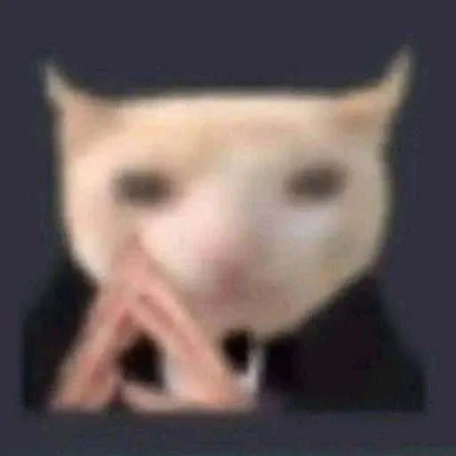 🤨 Стикер «cats.mos?» для Telegram