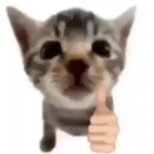 👍 Стикер «cats.mos?» для Telegram