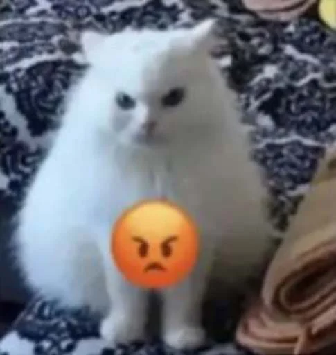 😡 Стикер «cats.mos?» для Telegram