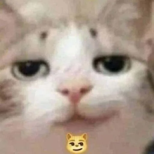 😼 Стикер «cats.mos?» для Telegram