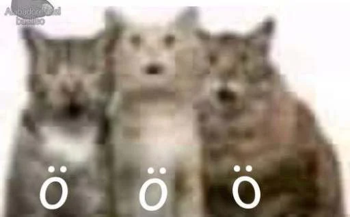 😲 Стикер «cats.mos?» для Telegram