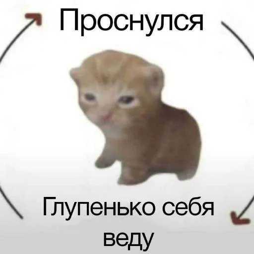 ☺️ Стикер «cats.mos?» для Telegram