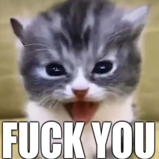 🤬 Стикер «cats.mos?» для Telegram