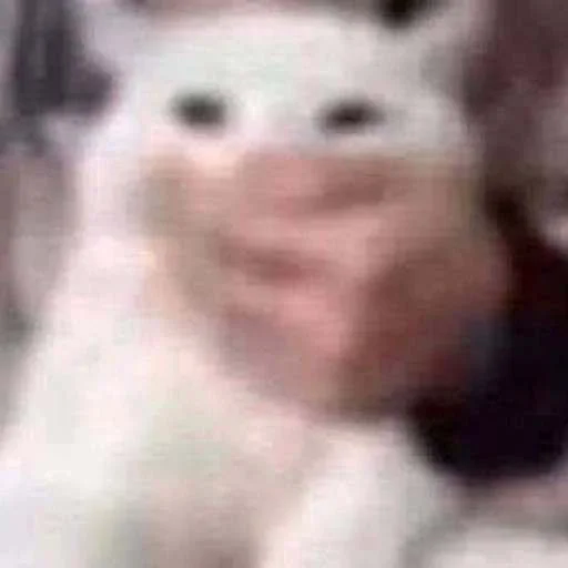 😟 Стикер «cats.mos?» для Telegram